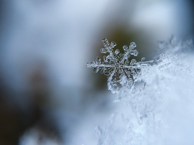 1月20日（雪の結晶）