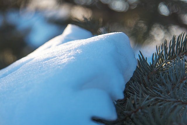 雪に太陽の光