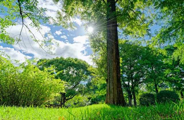 4月10日の元気になる画像