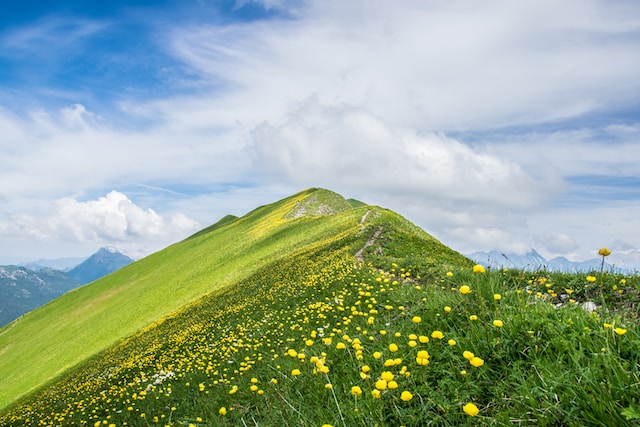 6月8日の元気になる画像