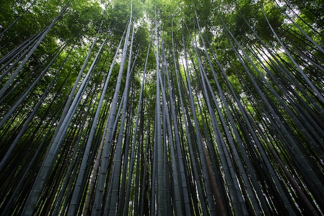 9月1日の元気になる画像