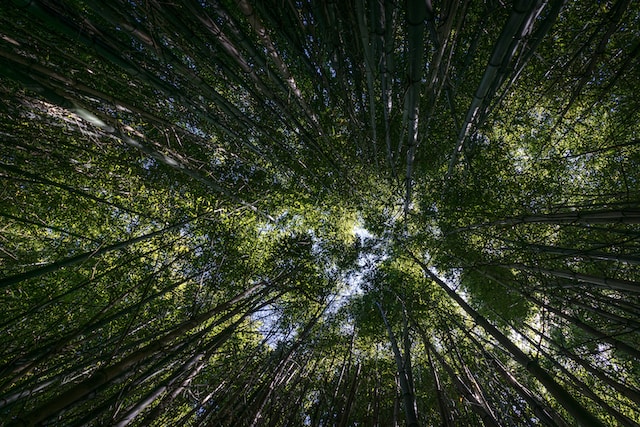 8月9日の元気になる画像