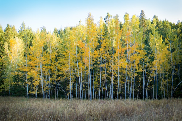 10月9日の元気になる画像