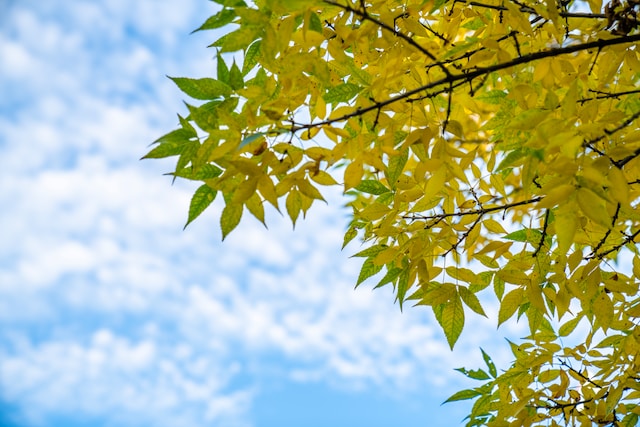 10月1日の元気になる画像