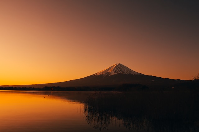 12月19日の元気になる画像